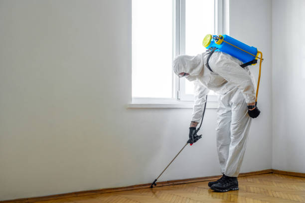 Best Best Pest Control Companies  in Ansonia, CT